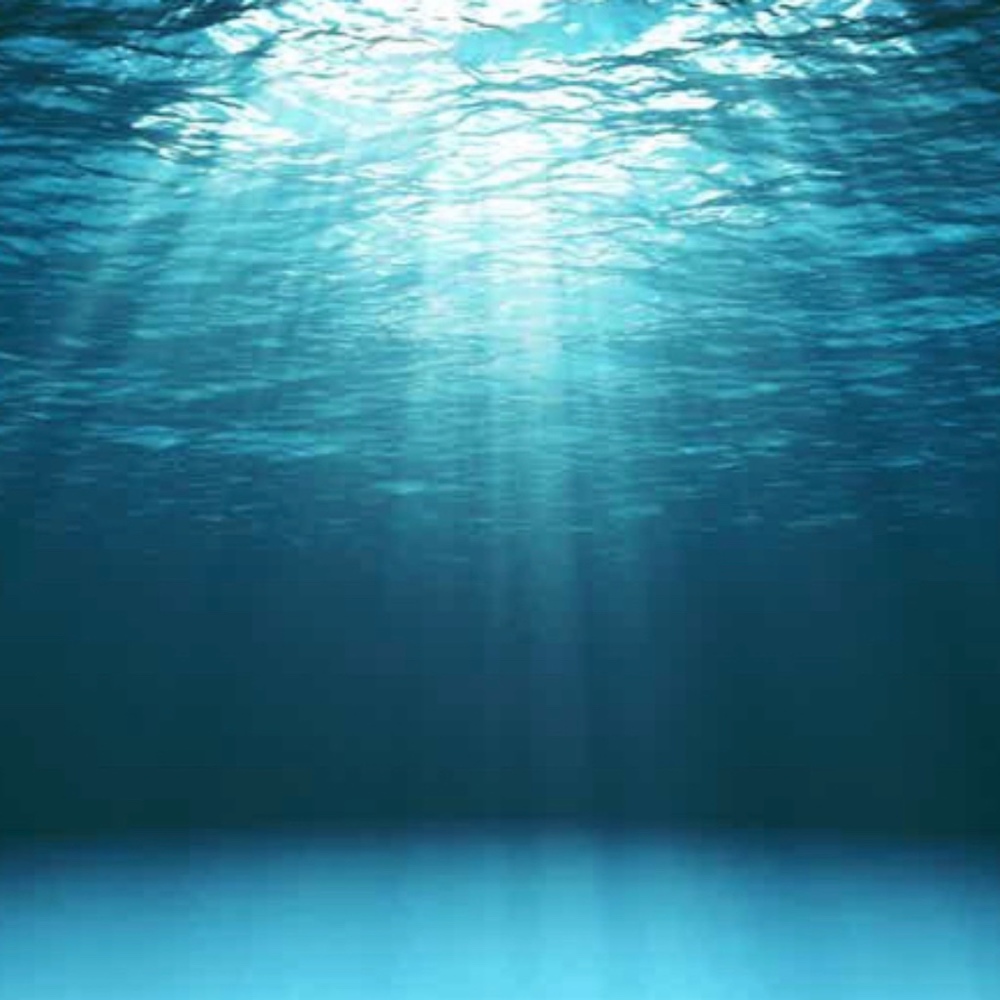 Meet your Posher, Zoe